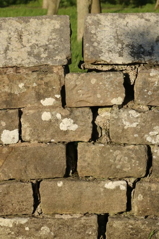 Stone Wall Repair in Shawnee, KS